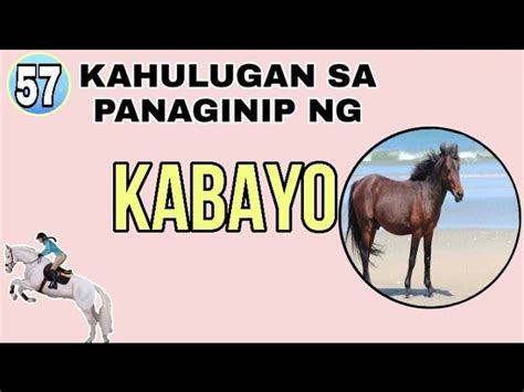 Tapahoho ng kabayo in English with contextual examples.